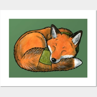 Sleeping red fox Posters and Art